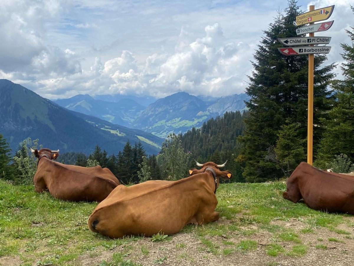 Alpine Apartment In Swiss Village Of Torgon 외부 사진